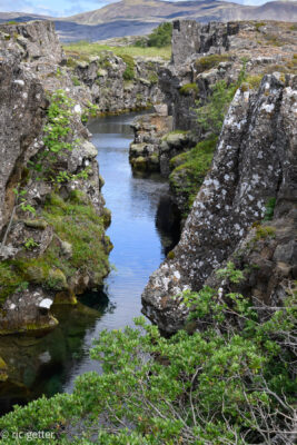N. American and Eurasion plates meet