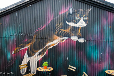 Street art, Reykvik